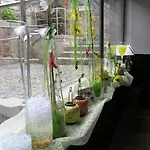 Fonte Da 3* Monção